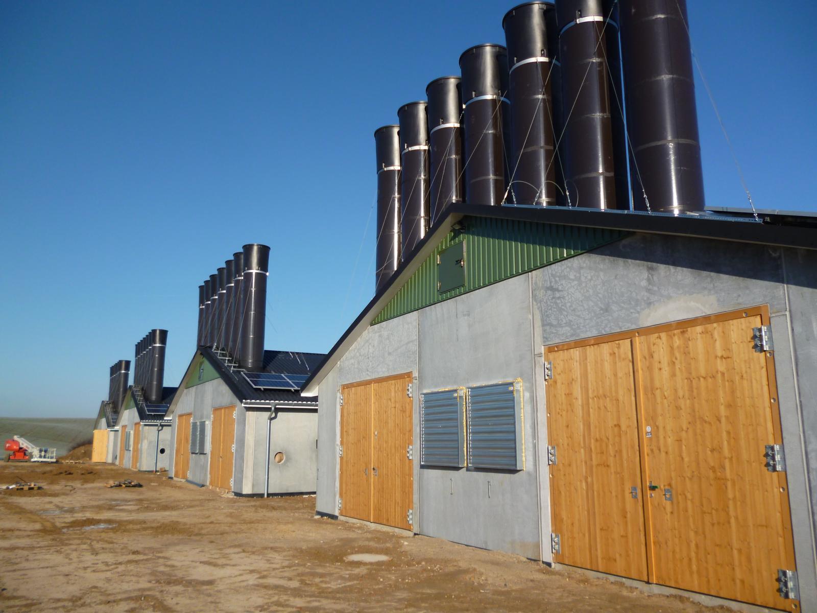 Stallgebäude - Geflügelstallungen mit isolierten Toren mit Holzblockzarge und verstellbaren Konstruktionsbändern.JPG