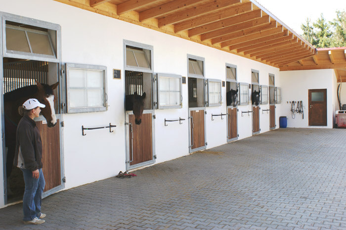 Pferdeaußenboxentüren mit Fensterkreuz und Kippfenster