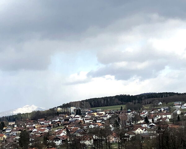 www.allemann-gmbh.de - Störche