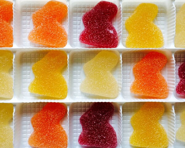 Tore für Fischzucht