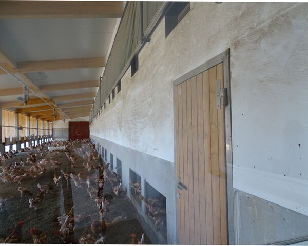 Flugübung - Jungstorch Grafenwiesen 2020