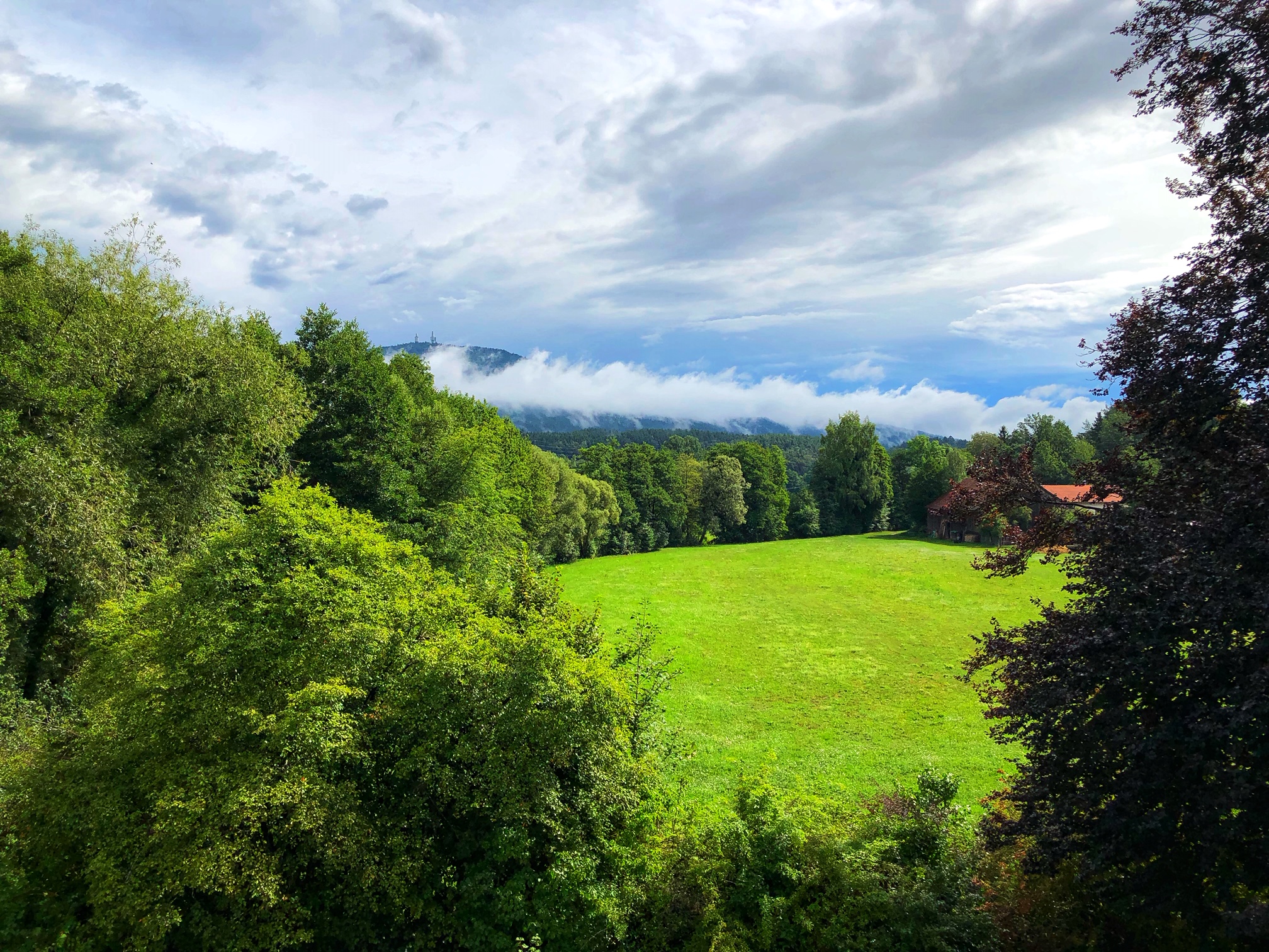 Störche Bayer. Wald - ALLEMANN GmbH