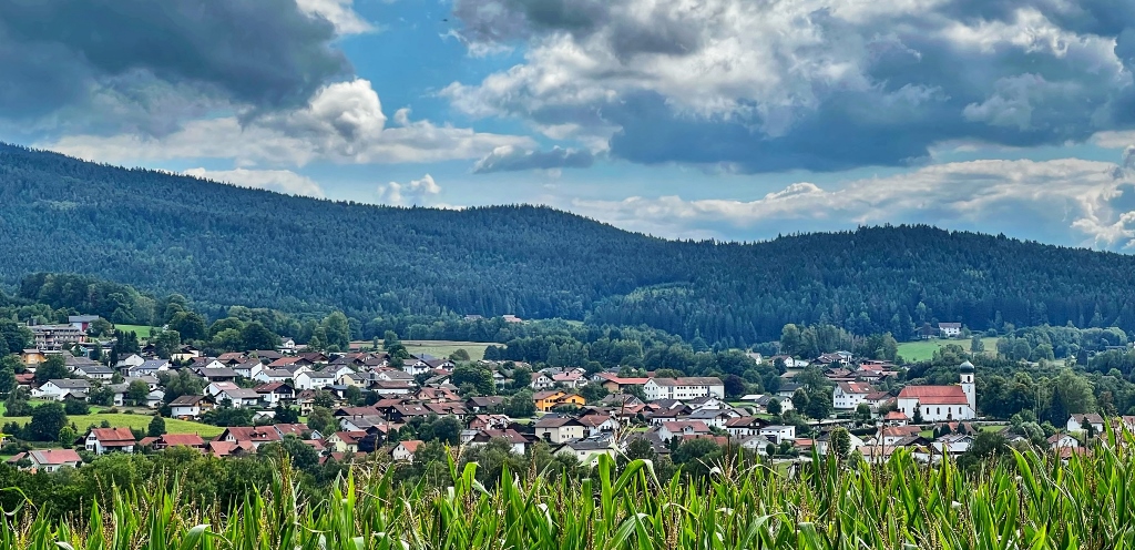 www.allemann-gmbh.de - Störche